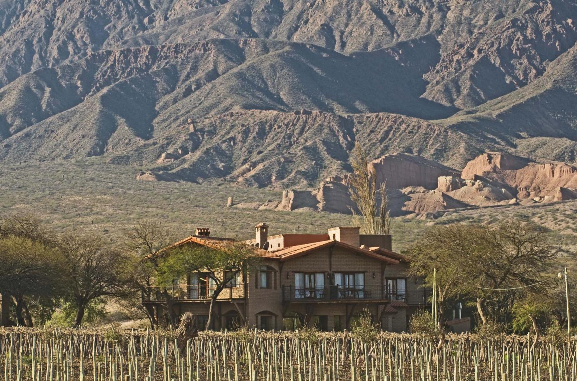 La Casa De La Bodega - Wine Boutique Hotel Cafayate Eksteriør billede
